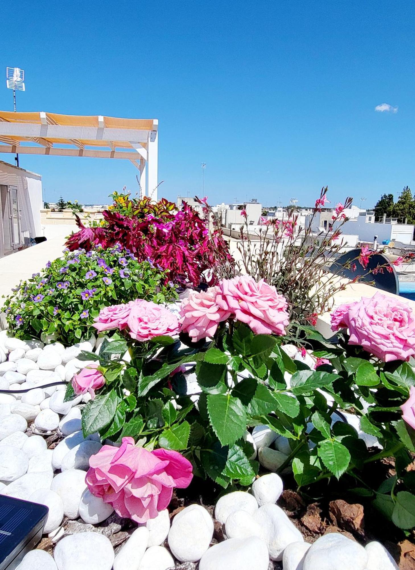 Aquamarina Rooms Porto Cesareo Exteriér fotografie
