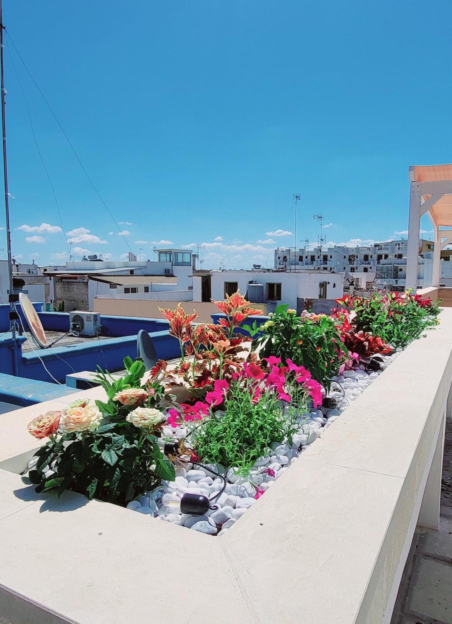 Aquamarina Rooms Porto Cesareo Exteriér fotografie